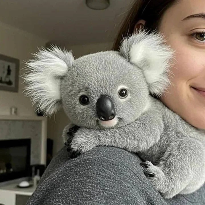 The Weighted Koala That Tucks Them In